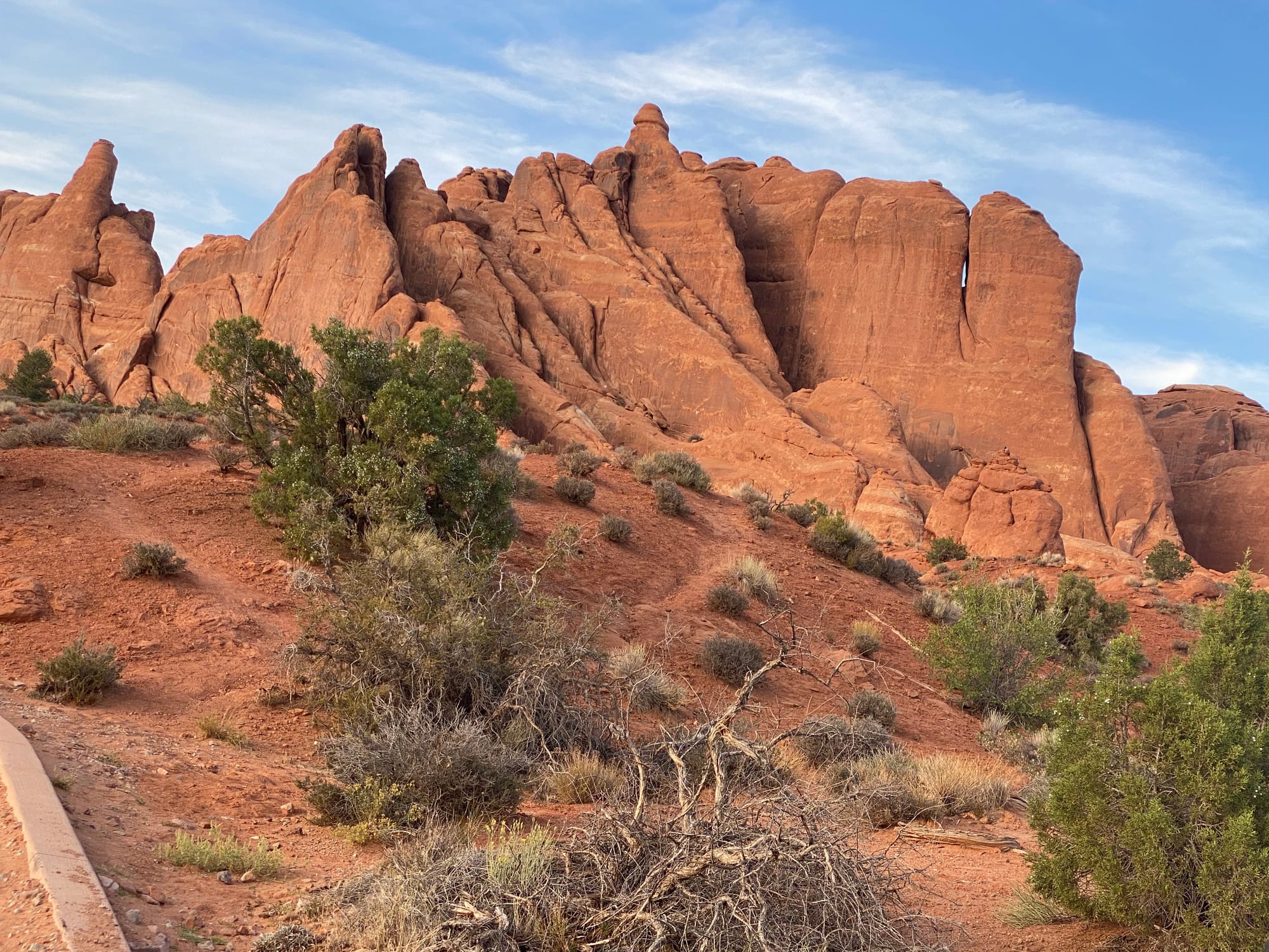 Fernweh Chronicles...Travels with Lieba