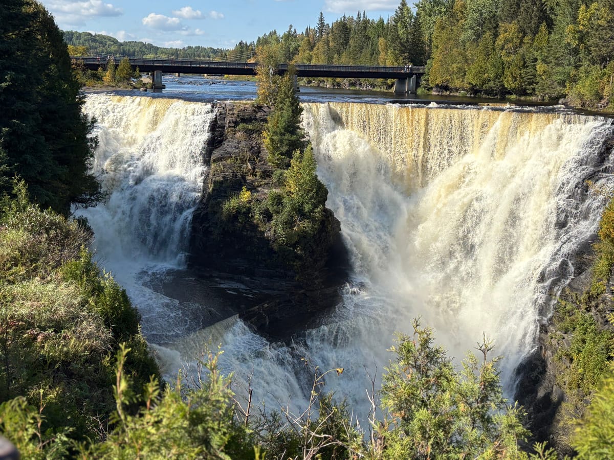 From Cornfields to Pine Trees to... Wait, Where Did All the Trees Go?